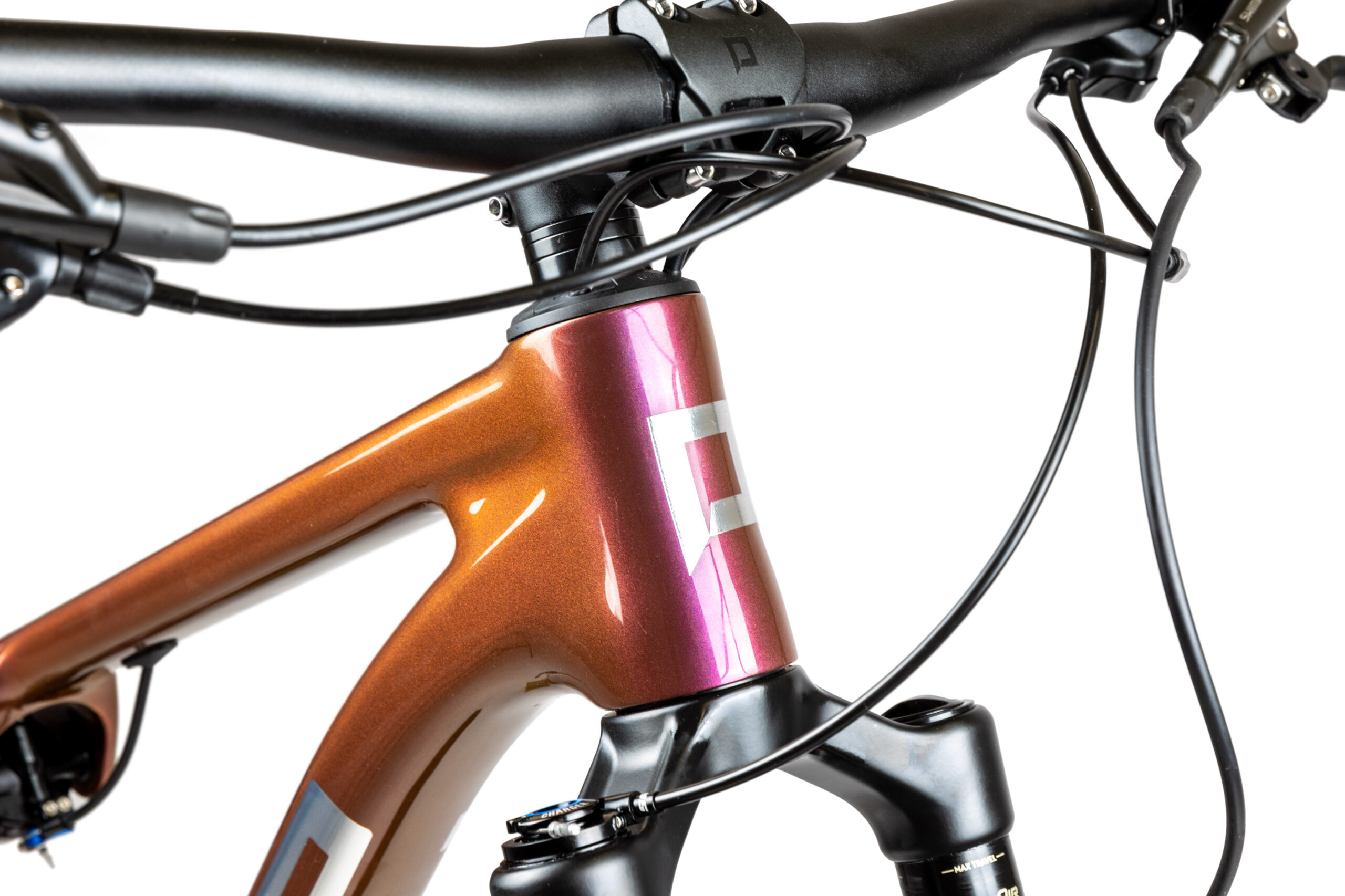 PELLS Duke FS 2 Eggplant - Image 3