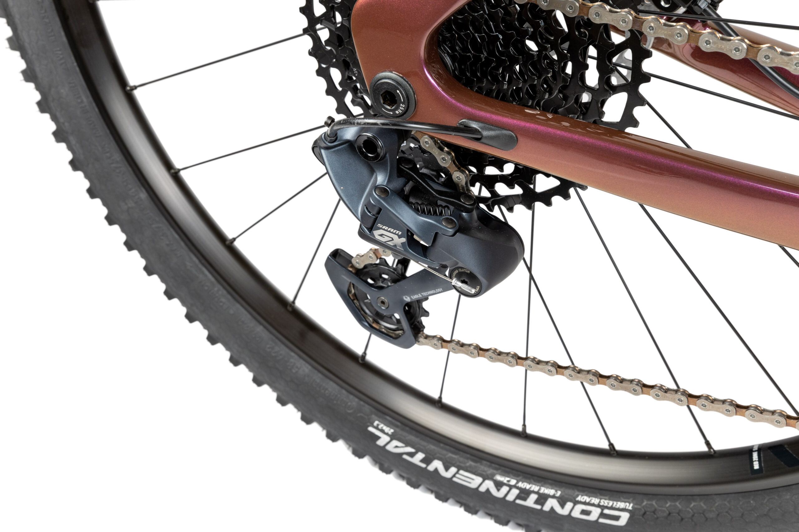 PELLS Duke FS 2 Eggplant - Image 5