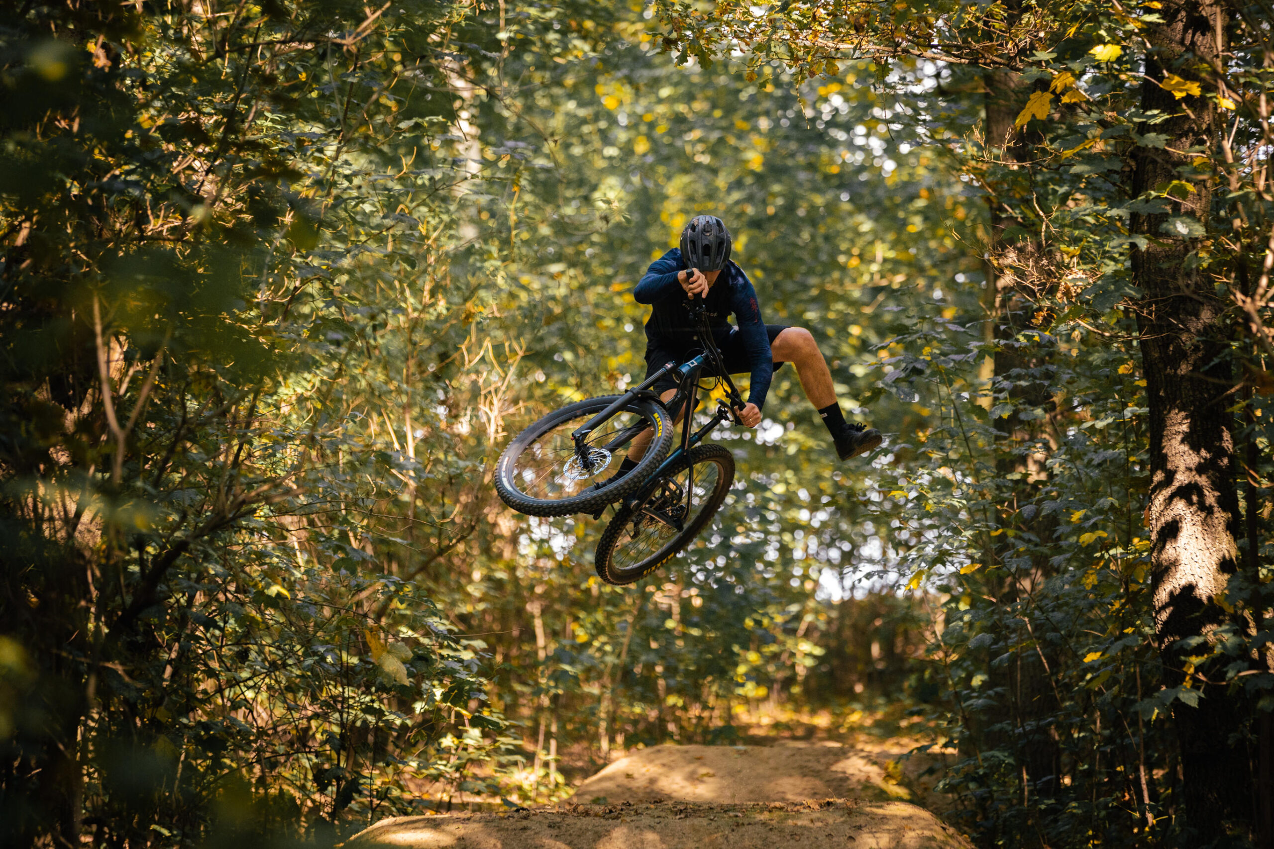 PELLS Root 2 Blue - Image 8