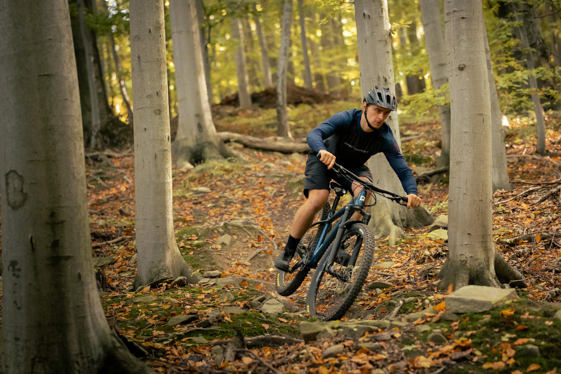 PELLS Root 2 Blue - Image 9