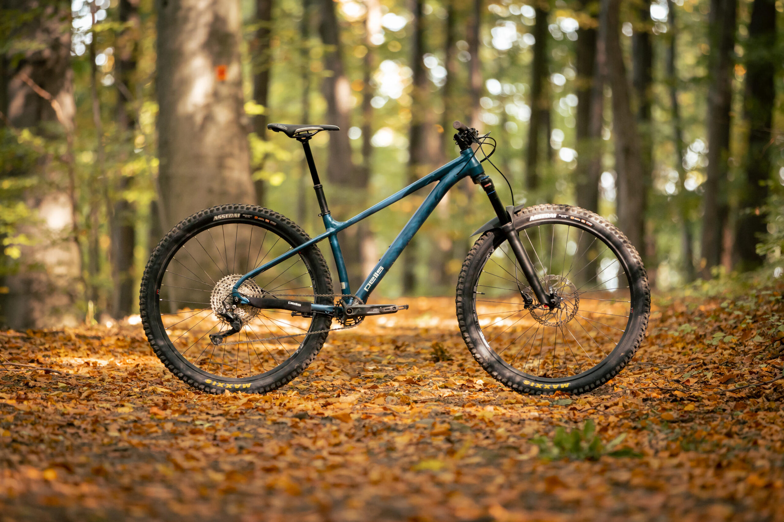 PELLS Root 2 Blue - Image 10