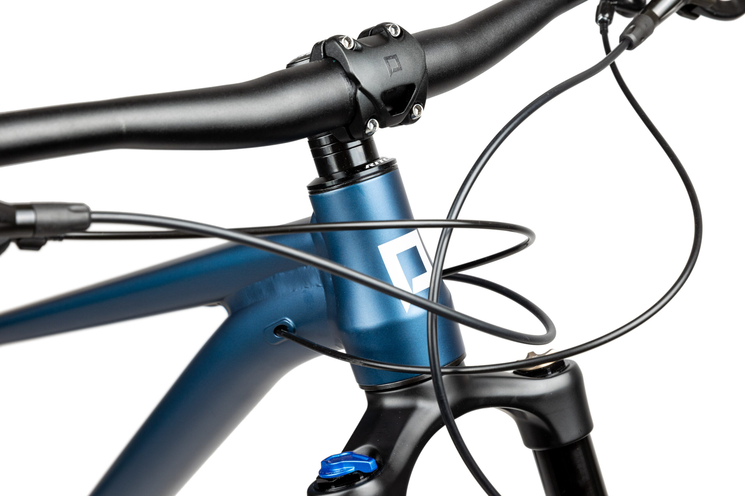 PELLS Root 2 Blue - Image 5