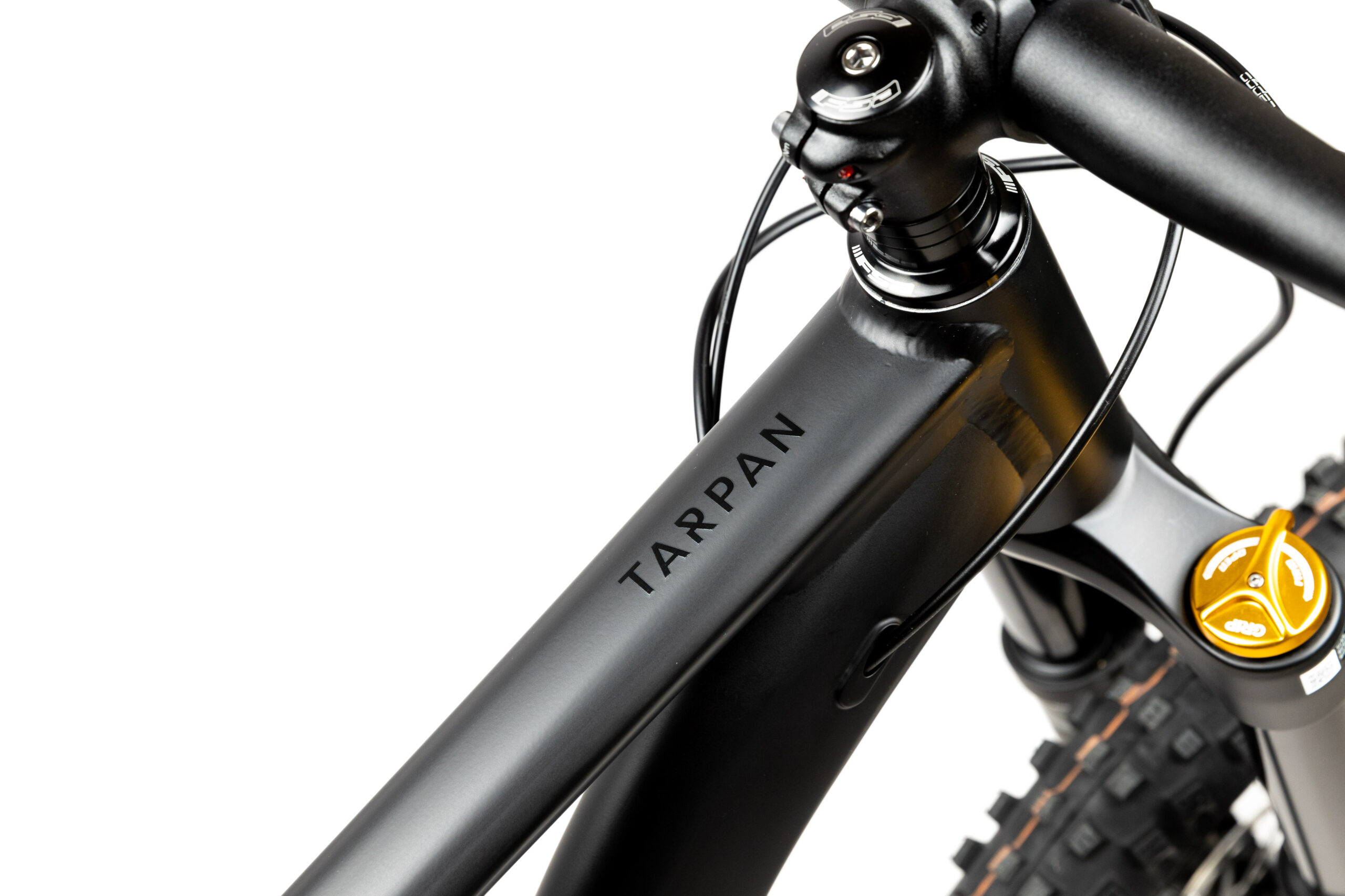 PELLS Tarpan AM 2 Black - S - Image 5