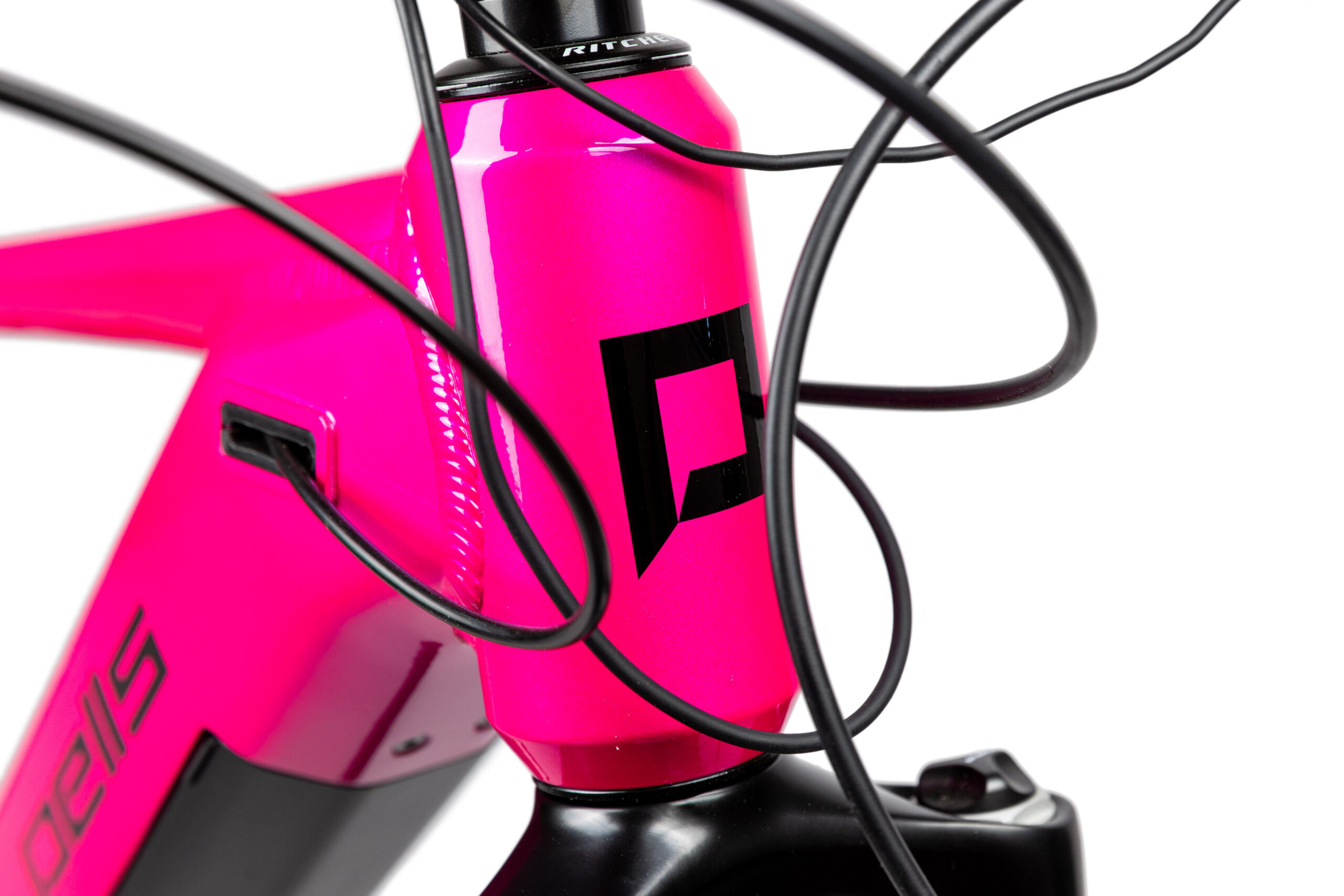 PELLS Thorr 1 W Magenta coral - Image 4