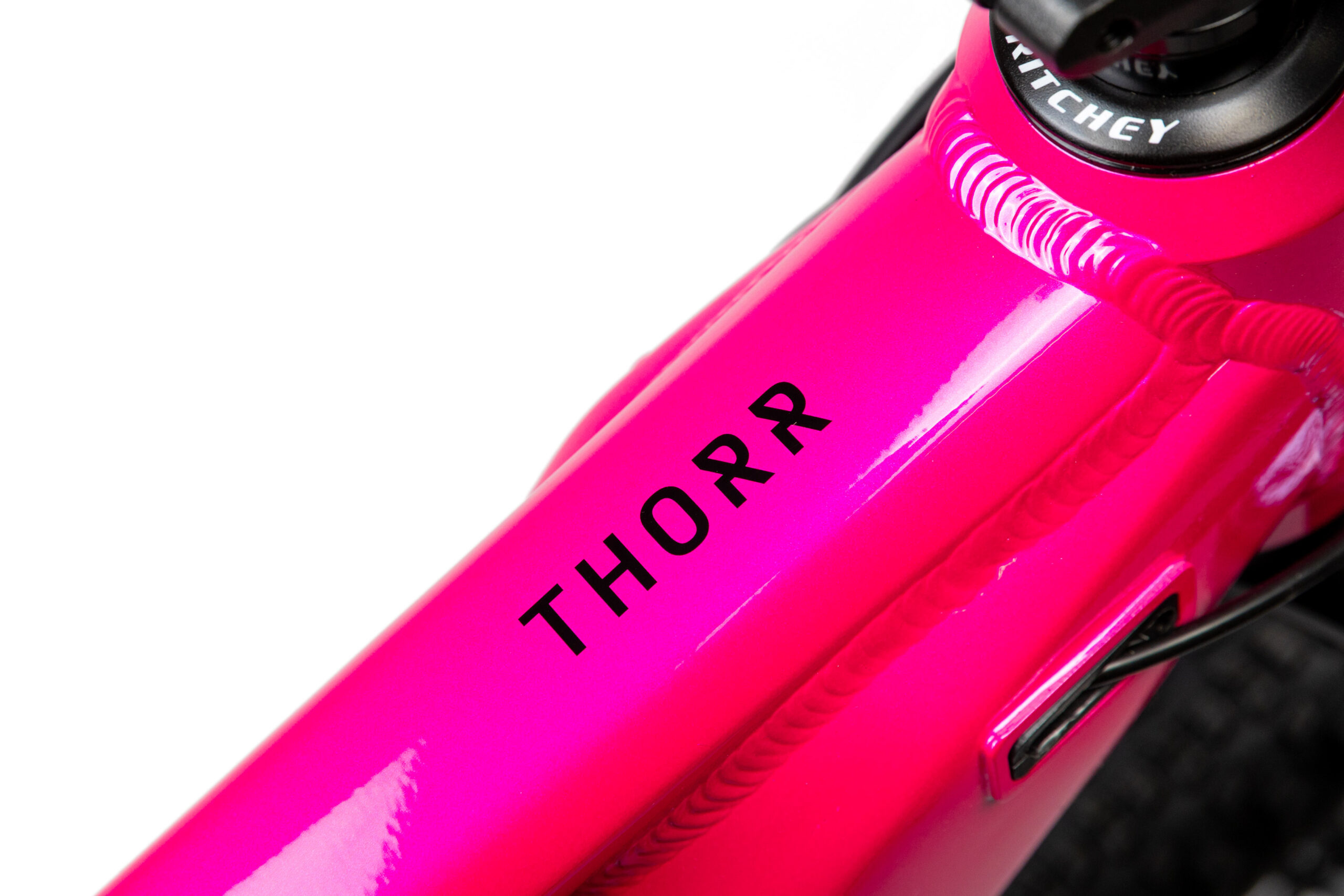 PELLS Thorr 1 W Magenta coral - Image 3