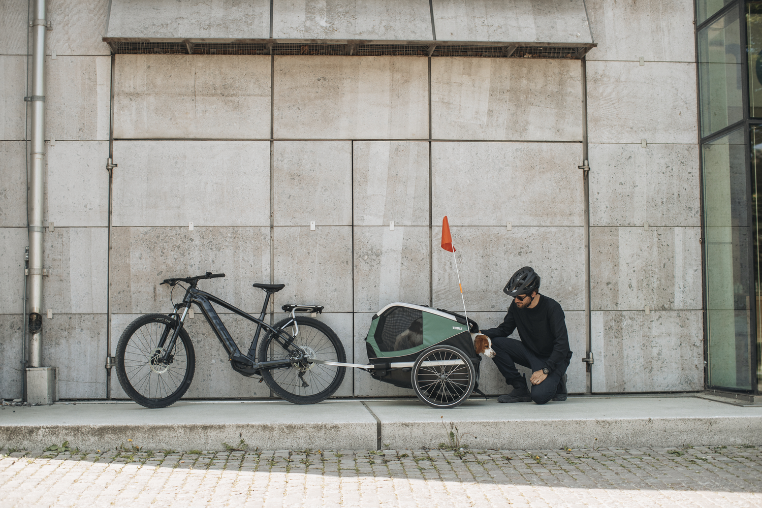 Utánfutó THULE BEXEY zsályazöld/ffekete kutyaszállító közepes - Image 5