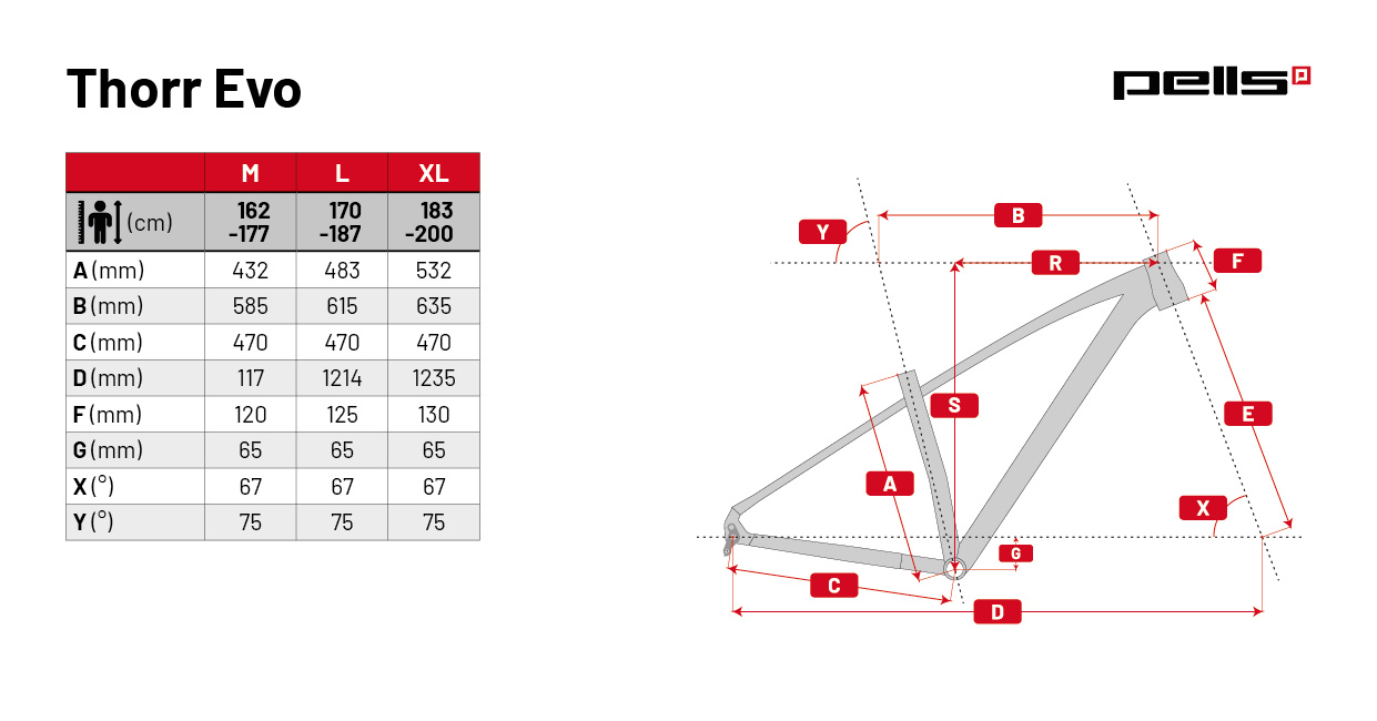 PELLS Thorr EVO 3 Red - XL - Image 10