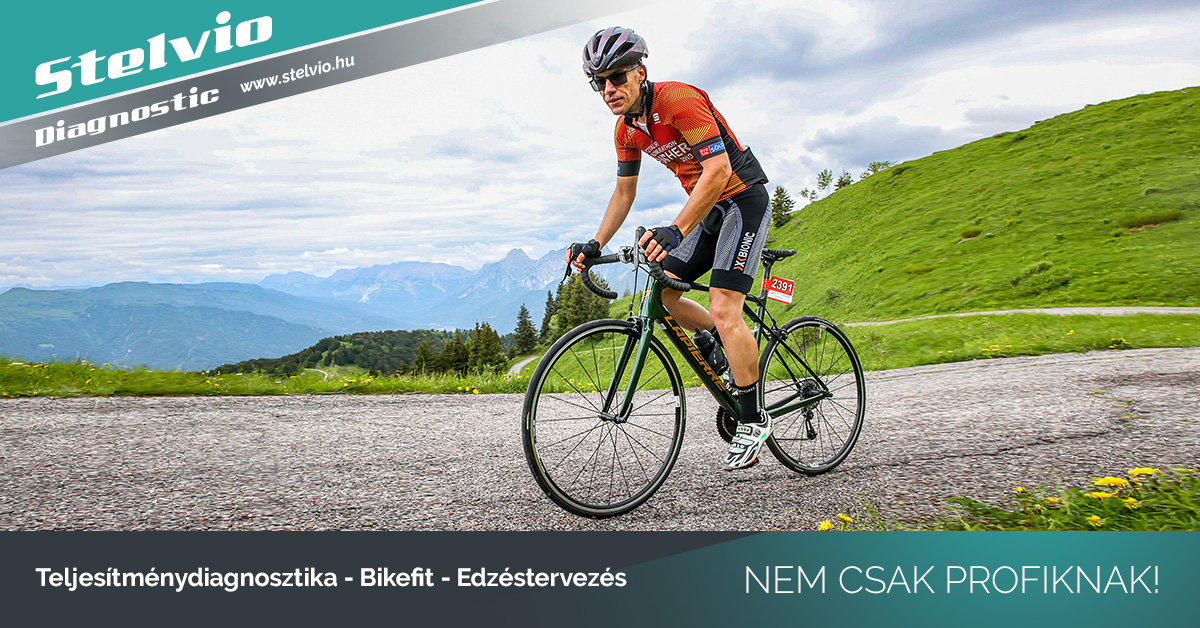 stelvio_diag08_fb